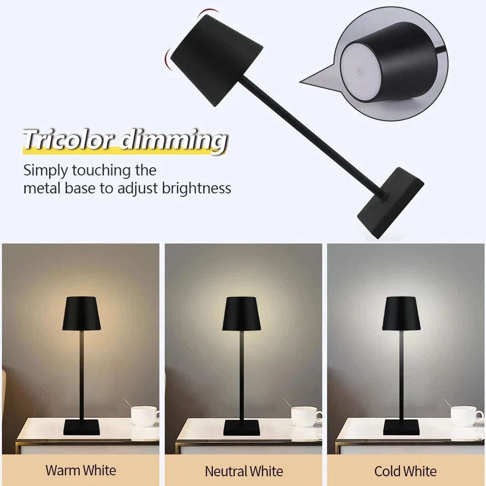 Rechargeable LED Desk Lamp